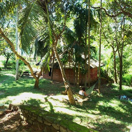 Hidden Well Hiriketiya Hostel Dikwella Ngoại thất bức ảnh