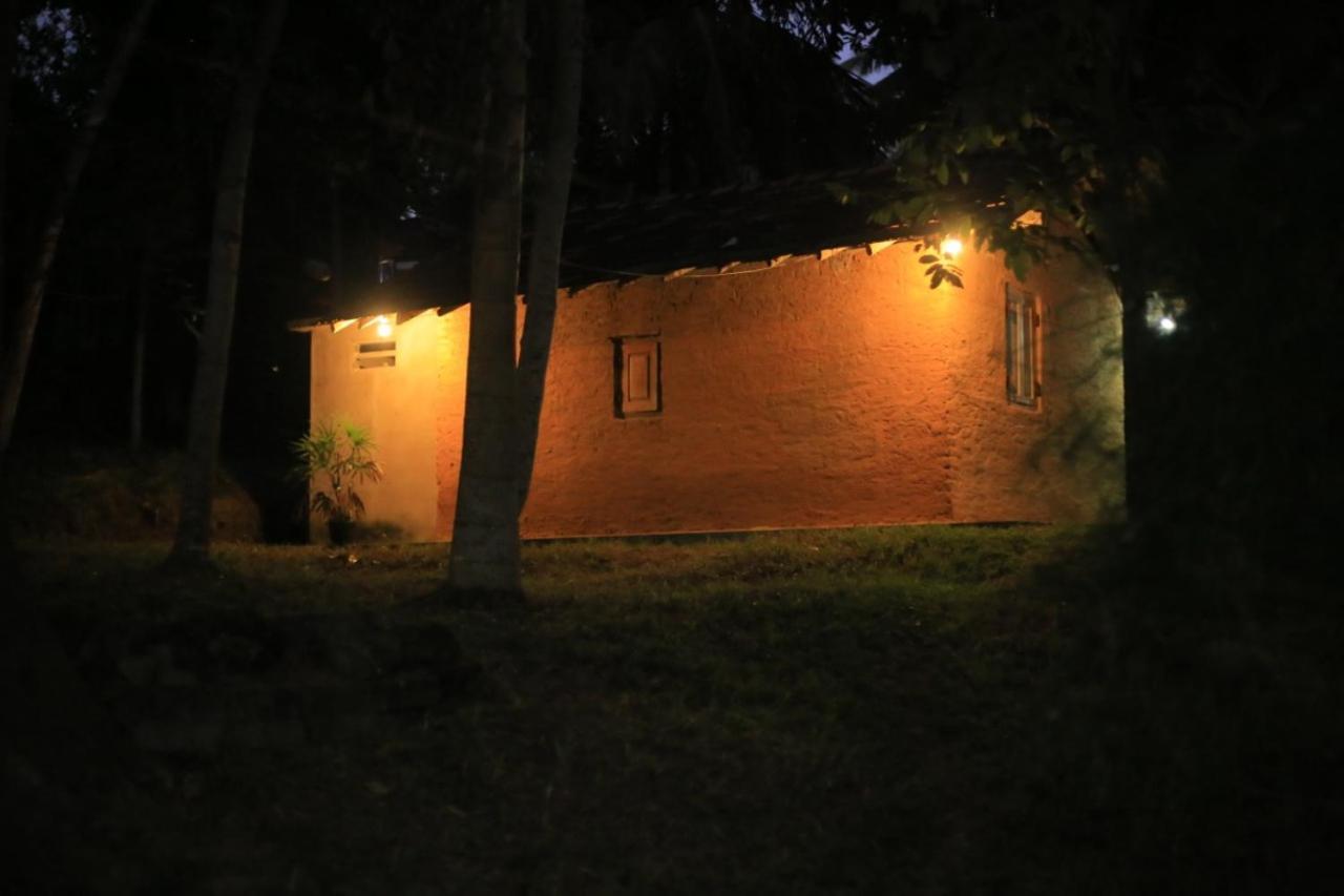 Hidden Well Hiriketiya Hostel Dikwella Ngoại thất bức ảnh