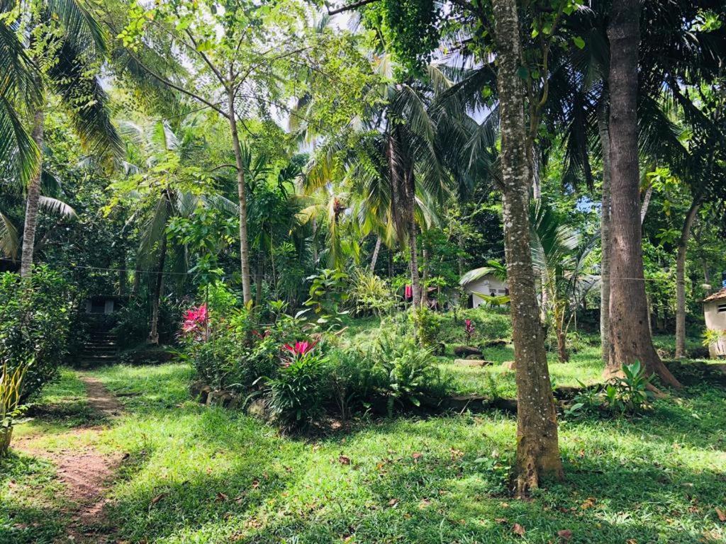 Hidden Well Hiriketiya Hostel Dikwella Ngoại thất bức ảnh