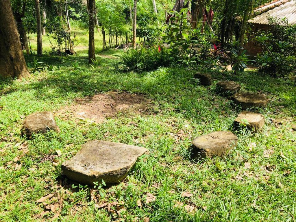 Hidden Well Hiriketiya Hostel Dikwella Ngoại thất bức ảnh