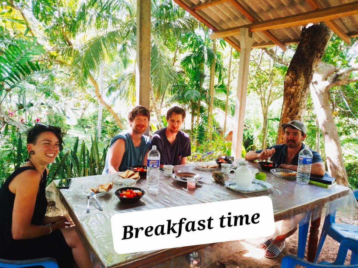 Hidden Well Hiriketiya Hostel Dikwella Ngoại thất bức ảnh