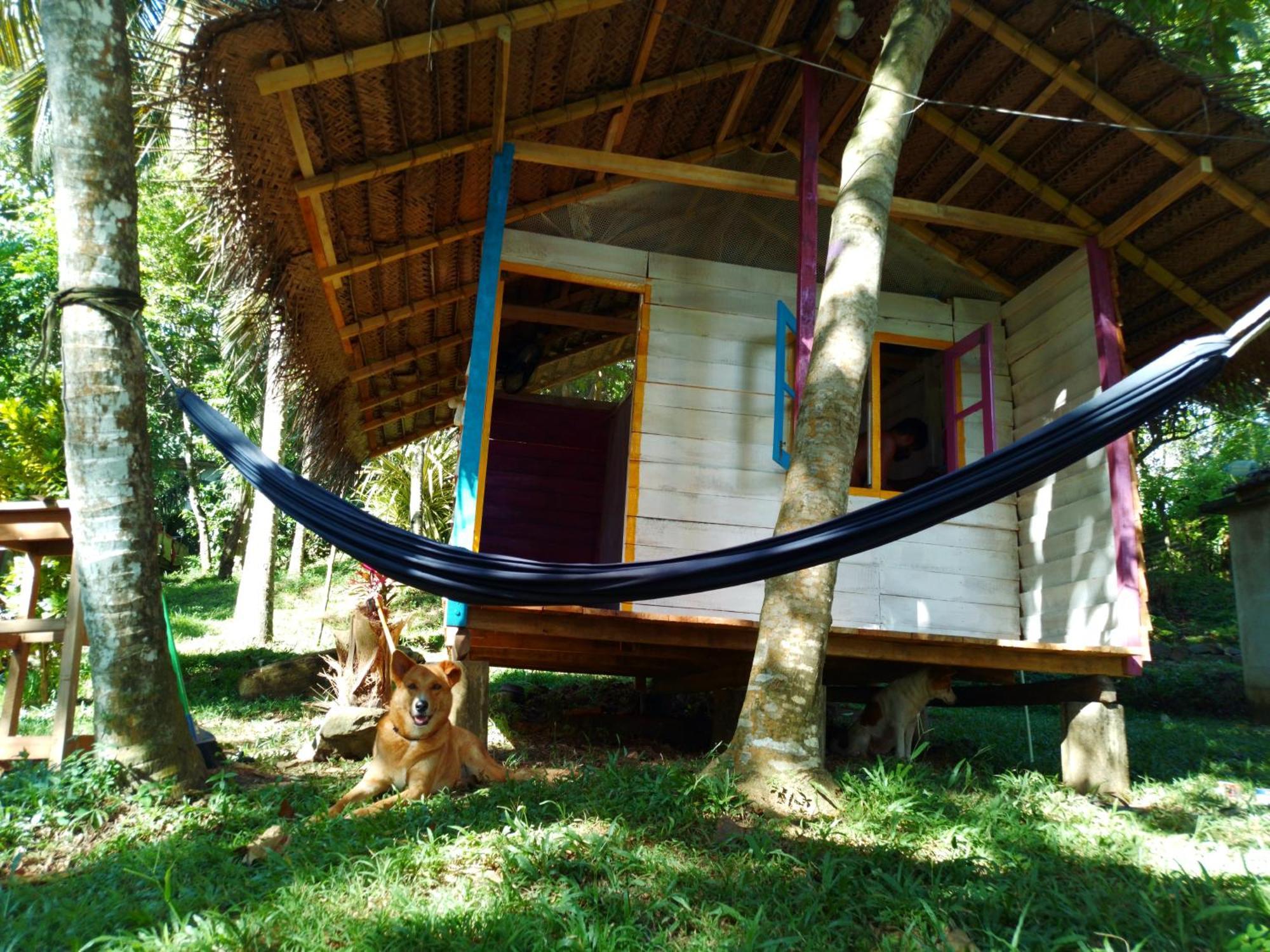 Hidden Well Hiriketiya Hostel Dikwella Ngoại thất bức ảnh