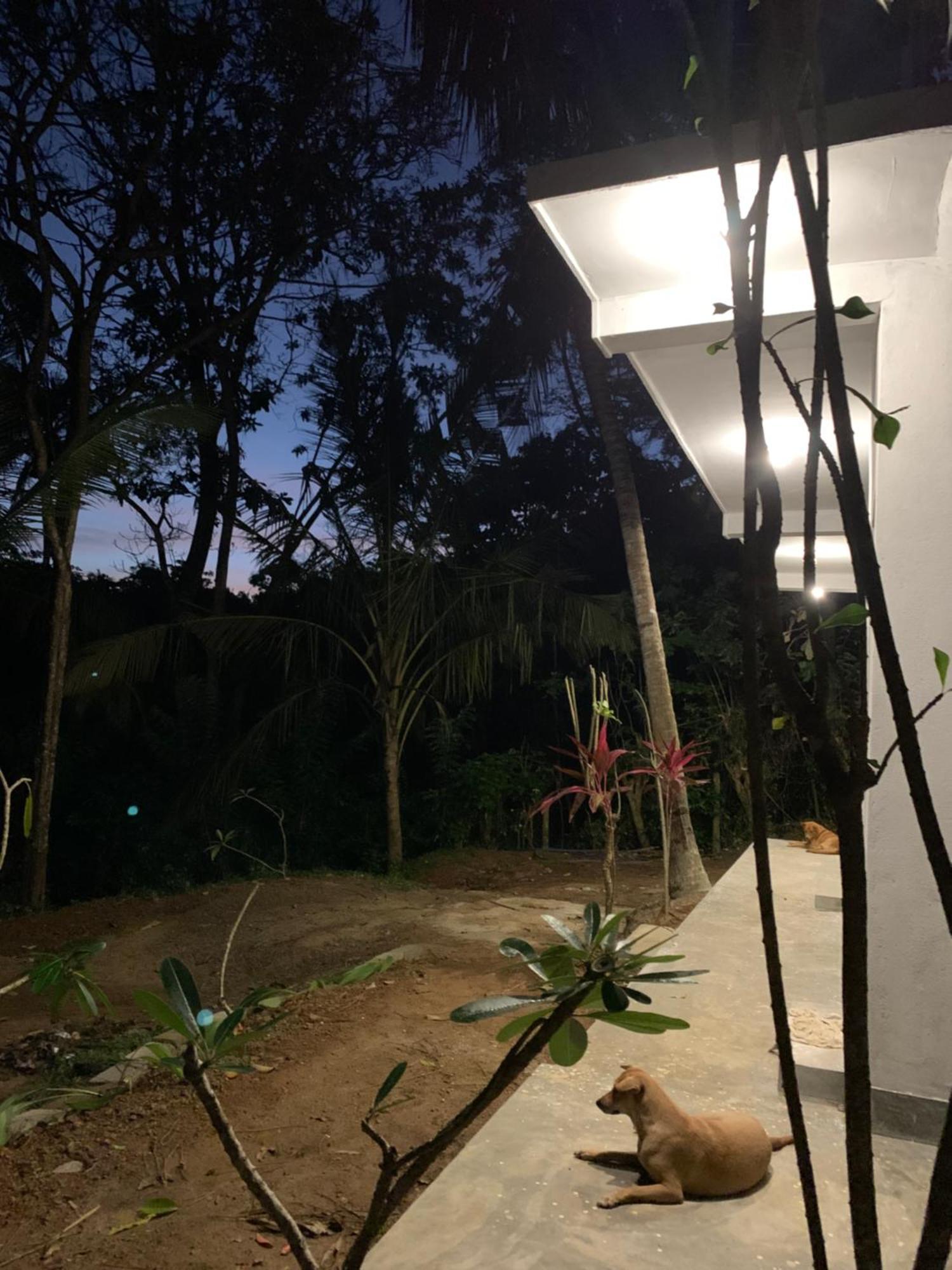 Hidden Well Hiriketiya Hostel Dikwella Ngoại thất bức ảnh