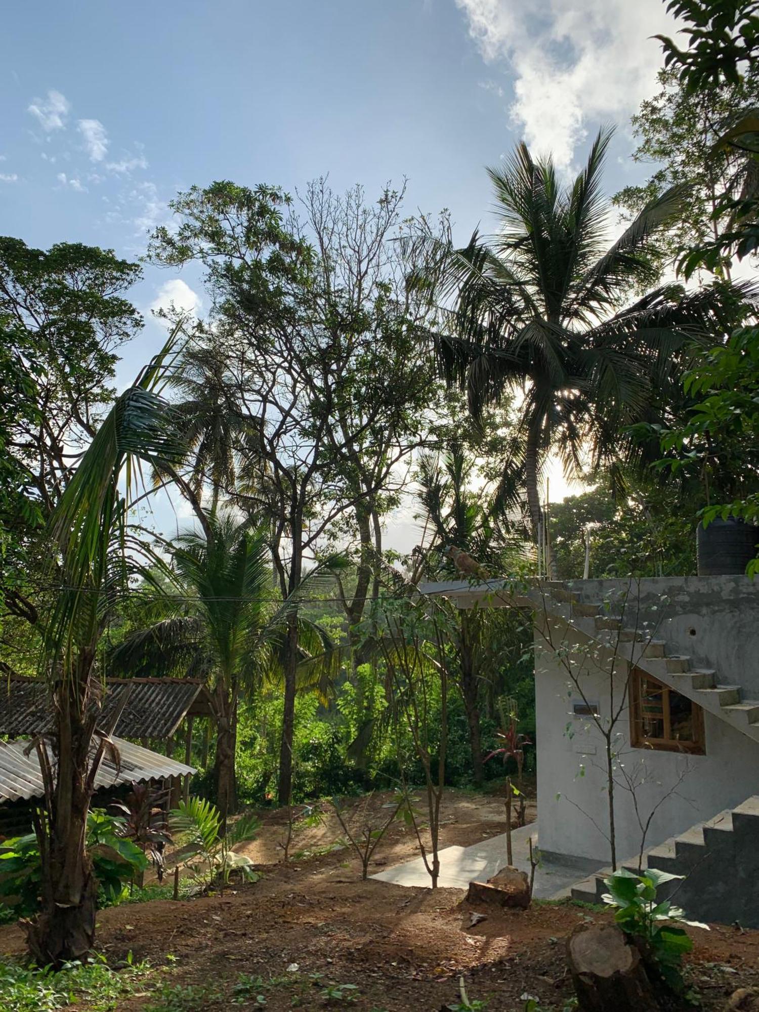 Hidden Well Hiriketiya Hostel Dikwella Ngoại thất bức ảnh