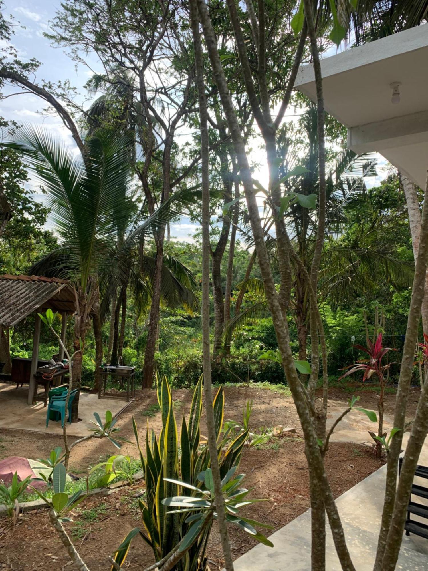 Hidden Well Hiriketiya Hostel Dikwella Ngoại thất bức ảnh