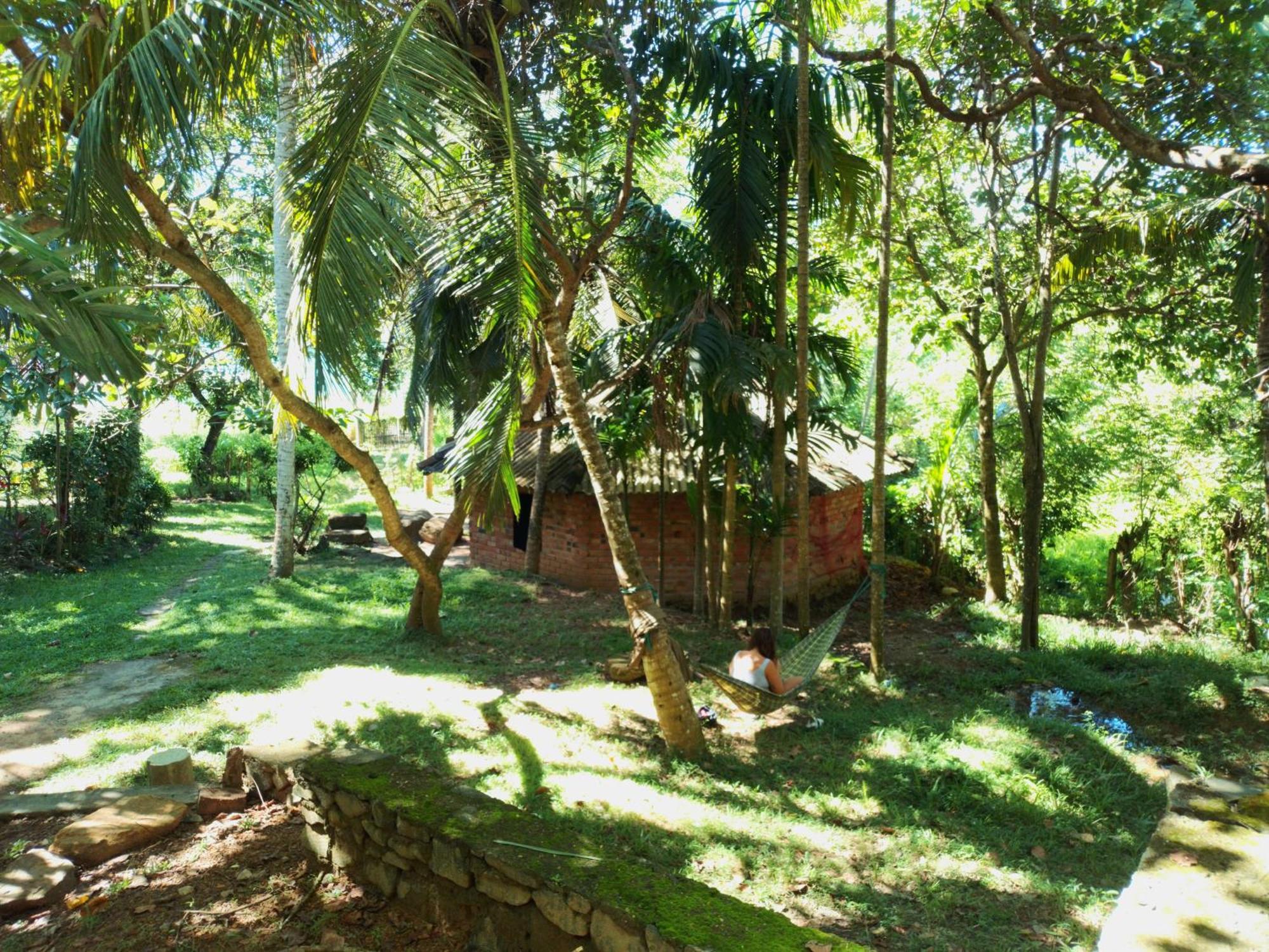 Hidden Well Hiriketiya Hostel Dikwella Ngoại thất bức ảnh