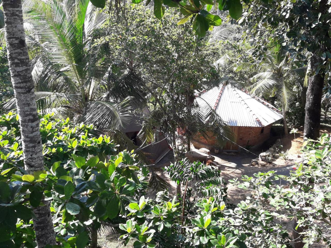 Hidden Well Hiriketiya Hostel Dikwella Ngoại thất bức ảnh