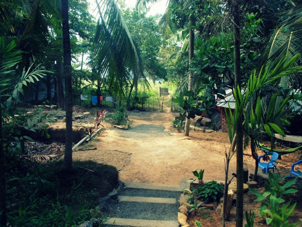 Hidden Well Hiriketiya Hostel Dikwella Ngoại thất bức ảnh
