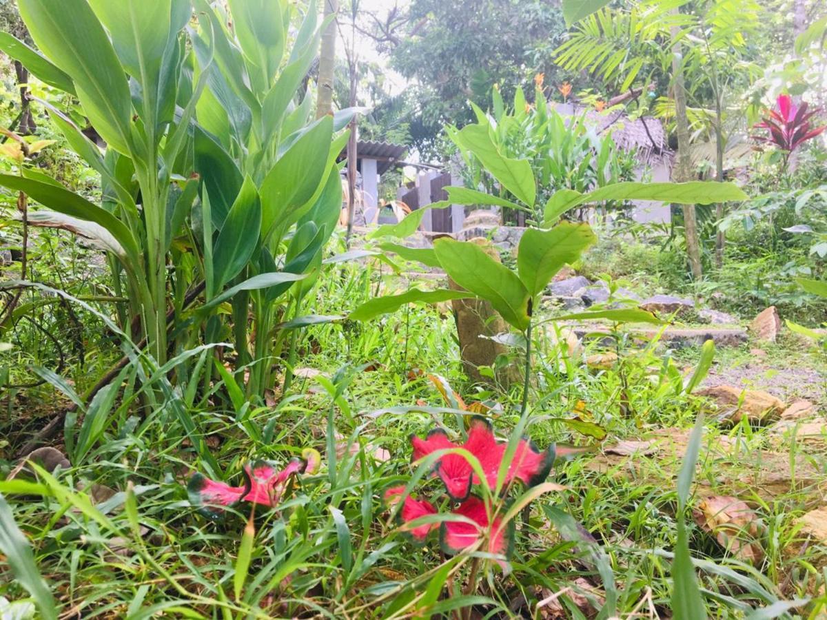 Hidden Well Hiriketiya Hostel Dikwella Ngoại thất bức ảnh