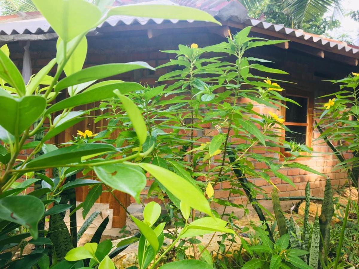 Hidden Well Hiriketiya Hostel Dikwella Ngoại thất bức ảnh